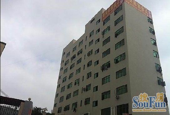 供销社宿舍楼（凤岗）实景图