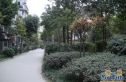 欣河苑实景图