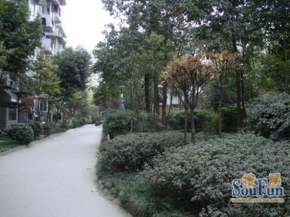 欣河苑实景图