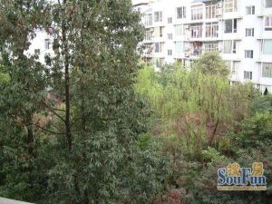 欣河苑 3室2厅 南 北