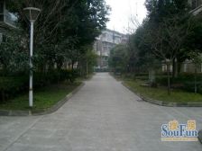 江安花园 1室1厅 南