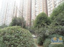 蜀都花园 2室2厅 南