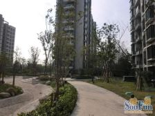 浦江10年高品质商品房 电梯复式 使用面积多 车位宽松