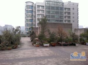 人民南路四段25号 3室1厅 南