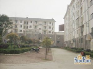 江安中路464号3室2厅东南
