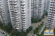 东泰禾旁 登云佳园 电梯四房两卫 诚意出售!