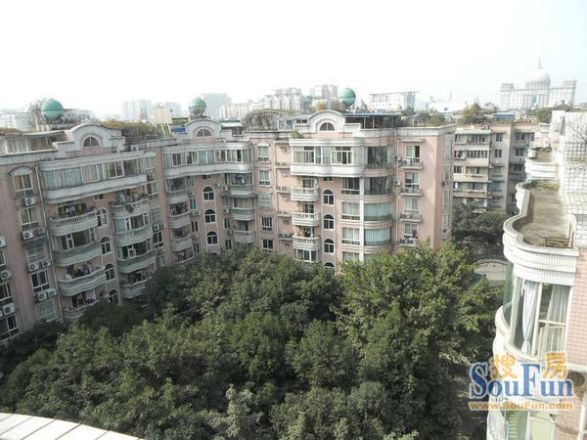 顺苑实景图