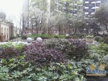 蓝光凯丽香江 3室1厅 南 北