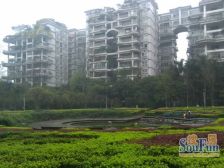 置信丽都花园C区4室2厅西南西北东北