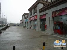 神仙树馨苑 3室1厅 西南