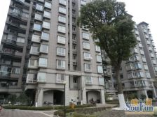 绿中海明苑一期(公寓) 3室2厅 南 北