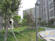清河阳光2室1厅东
