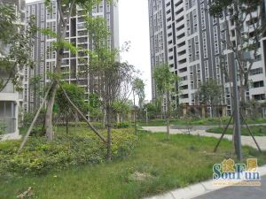 清河阳光2室2厅南