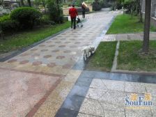 泊景湾 2室2厅 东南