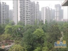 南苑小区B区 4室2厅 南