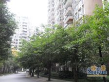 中海龙湾半岛4室2厅南北
