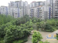 巴山夜雨 3室2厅 东南