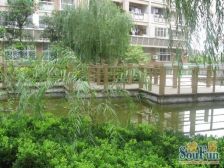 品质10年户型 四房二卫 不靠马路铁路 安静视野好 诚售