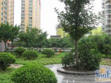 恒力锦沧花园真如附中心,少有复式住宅,上下两层带露台