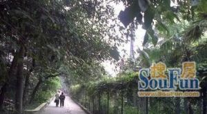 上汪家拐街34号2室1厅南