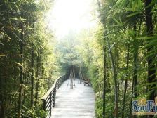 户型方正,客餐厅对流,采光通风好,宽敞明亮