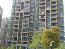 采光好 南北通 税费少 装修保养好 诚意出售