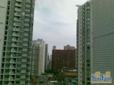 高层朝南 厨卫全明 陆家嘴三件套景观房