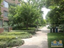 绝办!送产权车位!电梯凤凰楼层!龙王位置!采光刺眼