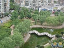 上海阳城 电梯高区2室 白玉兰建筑学奖 总监认定