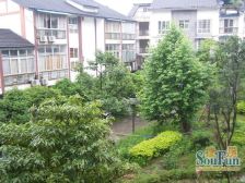 花洲原城小筑4室1厅东南