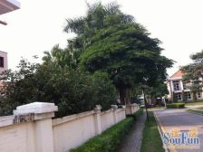 新世界花园 3室2厅 东南