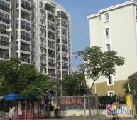 闵浦新苑六村 2室2厅 南 北