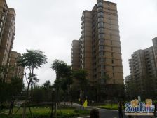 盛世宝邸(一期) 3室2厅 南