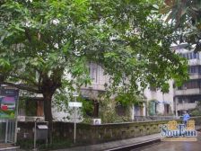 鹅岭 鹰冠小区二房58.7万