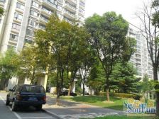 中环内别墅 恒大翰称翰林苑 02年小区