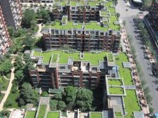 龙湖三千城二期B区 3室1厅 西南