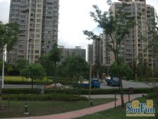 景观楼层,视野好,满五年,近地铁