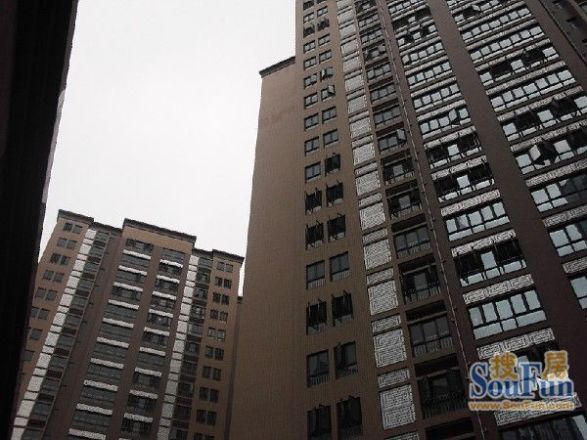 海滨广场实景图