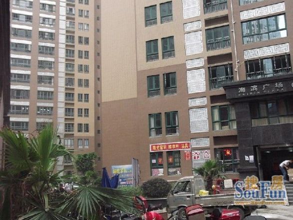 海滨广场实景图