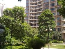 信义一号 朝南2房 业主诚意出售