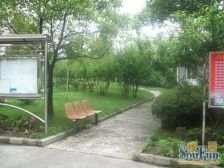 近地铁,现场实勘,新上房源