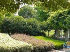 浦东 纯翠苑 4室2厅