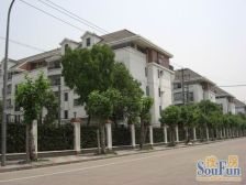 一楼+大院子+品质小区+近菜场+三甲医院+近嘉闵线