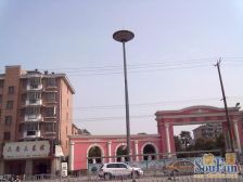 近地铁5号线电梯房高楼层视野好