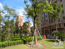 中环旁!税费少!近地铁!难出一套楼层视野好的大平层