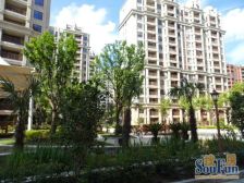 干挂石材 15号线 品质小区 半人车分流