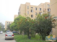 近地铁 刚需上车,必看好房