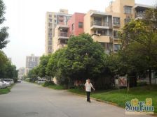 地铁7/15号线华山医院、龙湖天街,顾村公园,配套成熟