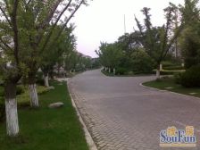 中心 电梯三房 近地铁,通风好 随时看房,采光好