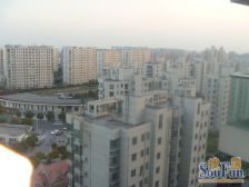 三林·金橘新苑-尚博路799弄·2室·1厅